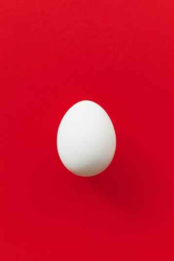 egg on a red background